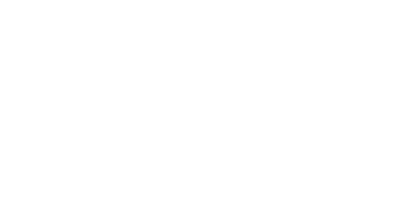 Fenix Play